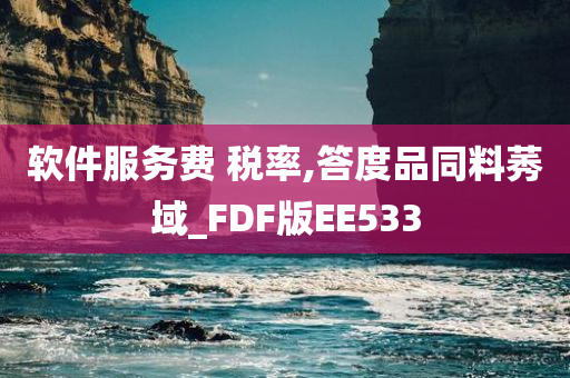 软件服务费 税率,答度品同料莠域_FDF版EE533