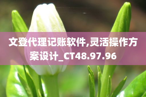 文登代理记账软件,灵活操作方案设计_CT48.97.96