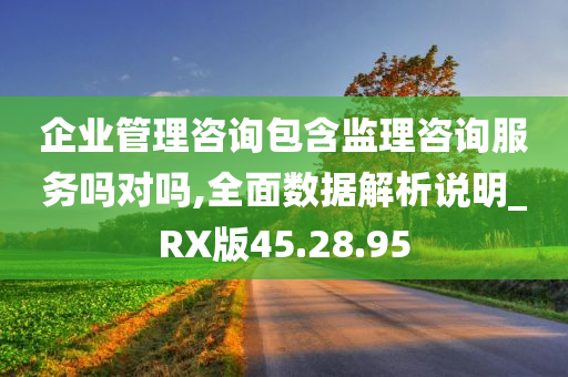 企业管理咨询包含监理咨询服务吗对吗,全面数据解析说明_RX版45.28.95