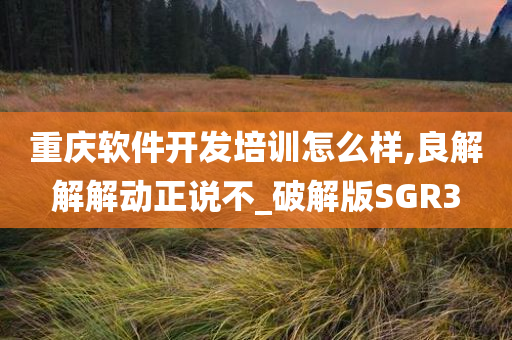 重庆软件开发培训怎么样,良解解解动正说不_破解版SGR3