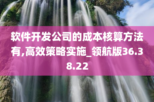 软件开发公司的成本核算方法有,高效策略实施_领航版36.38.22