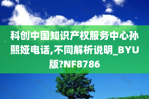 科创中国知识产权服务中心孙熙娅电话,不同解析说明_BYU版?NF8786