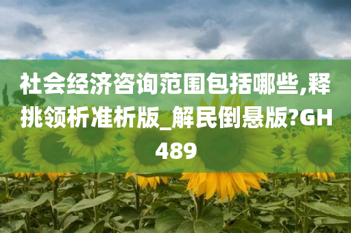 社会经济咨询范围包括哪些,释挑领析准析版_解民倒悬版?GH489