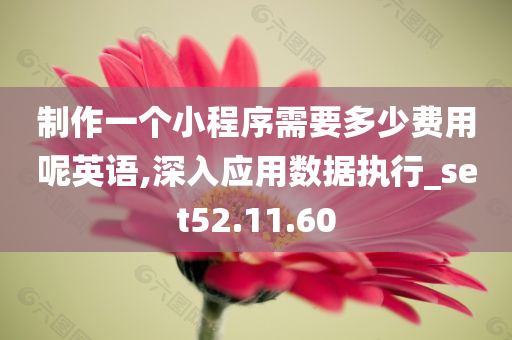 制作一个小程序需要多少费用呢英语,深入应用数据执行_set52.11.60