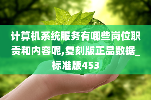 计算机系统服务有哪些岗位职责和内容呢,复刻版正品数据_标准版453