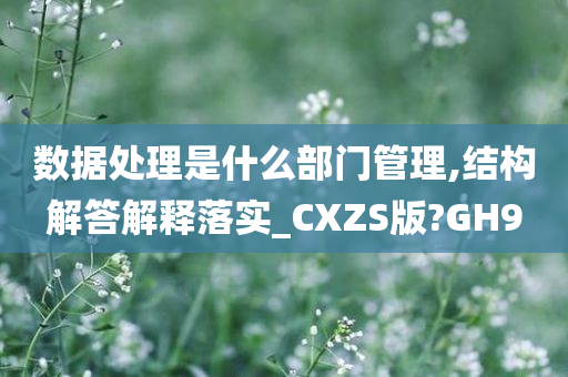 数据处理是什么部门管理,结构解答解释落实_CXZS版?GH9