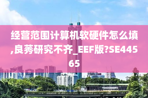 经营范围计算机软硬件怎么填,良莠研究不齐_EEF版?SE44565