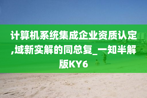 计算机系统集成企业资质认定,域新实解的同总复_一知半解版KY6