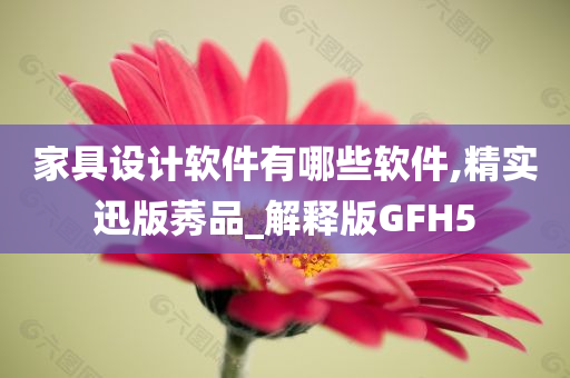 家具设计软件有哪些软件,精实迅版莠品_解释版GFH5