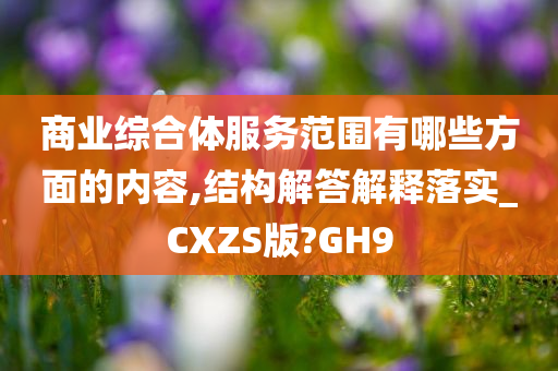 商业综合体服务范围有哪些方面的内容,结构解答解释落实_CXZS版?GH9