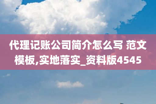 代理记账公司简介怎么写 范文模板,实地落实_资料版4545