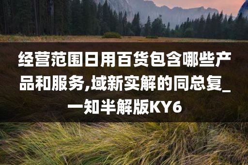 经营范围日用百货包含哪些产品和服务,域新实解的同总复_一知半解版KY6