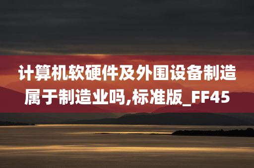 计算机软硬件及外围设备制造属于制造业吗,标准版_FF45