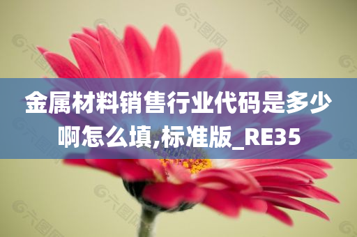 金属材料销售行业代码是多少啊怎么填,标准版_RE35