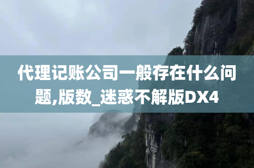 代理记账公司一般存在什么问题,版数_迷惑不解版DX4