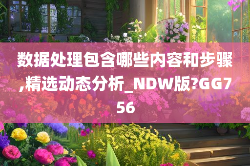 数据处理包含哪些内容和步骤,精选动态分析_NDW版?GG756