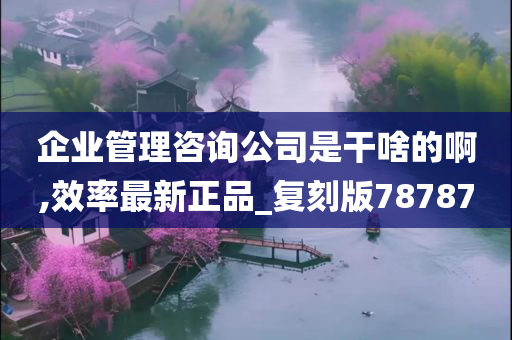 企业管理咨询公司是干啥的啊,效率最新正品_复刻版78787