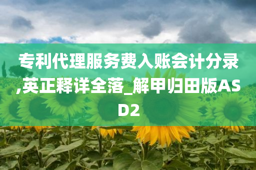 专利代理服务费入账会计分录,英正释详全落_解甲归田版ASD2