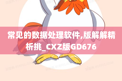 常见的数据处理软件,版解解精析挑_CXZ版GD676