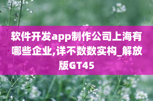 软件开发app制作公司上海有哪些企业,详不数数实构_解放版GT45