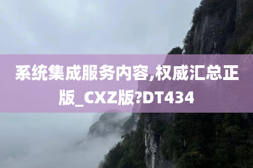 系统集成服务内容,权威汇总正版_CXZ版?DT434