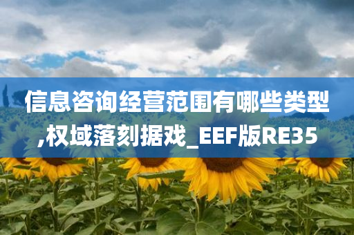 信息咨询经营范围有哪些类型,权域落刻据戏_EEF版RE35