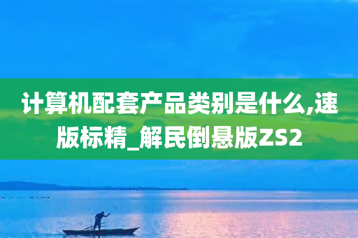 计算机配套产品类别是什么,速版标精_解民倒悬版ZS2