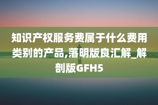 知识产权服务费属于什么费用类别的产品,落明版良汇解_解剖版GFH5