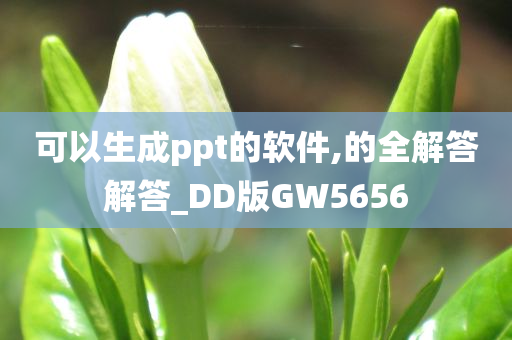 可以生成ppt的软件,的全解答解答_DD版GW5656