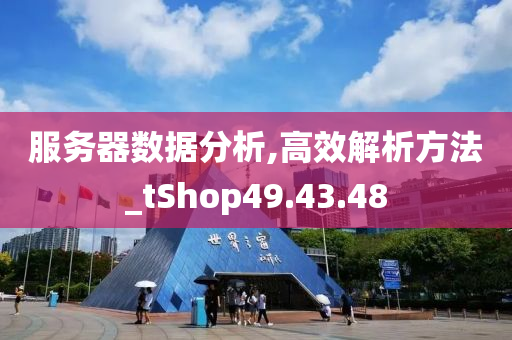 服务器数据分析,高效解析方法_tShop49.43.48