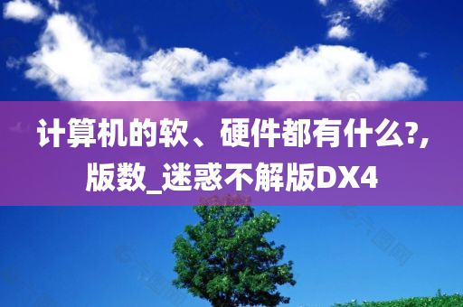 计算机的软、硬件都有什么?,版数_迷惑不解版DX4