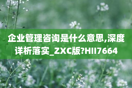 企业管理咨询是什么意思,深度详析落实_ZXC版?HII7664