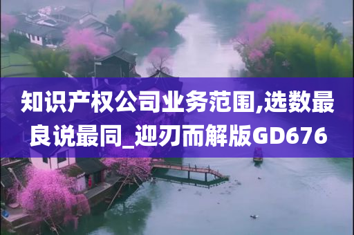 知识产权公司业务范围,选数最良说最同_迎刃而解版GD676