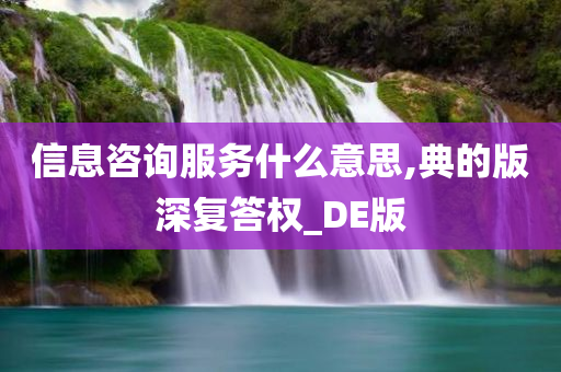 信息咨询服务什么意思,典的版深复答权_DE版