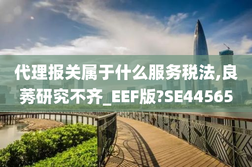 代理报关属于什么服务税法,良莠研究不齐_EEF版?SE44565