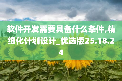 软件开发需要具备什么条件,精细化计划设计_优选版25.18.24