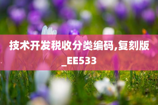 技术开发税收分类编码,复刻版_EE533