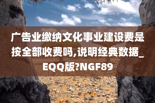 广告业缴纳文化事业建设费是按全部收费吗,说明经典数据_EQQ版?NGF89