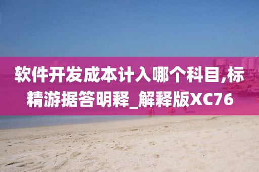 软件开发成本计入哪个科目,标精游据答明释_解释版XC76