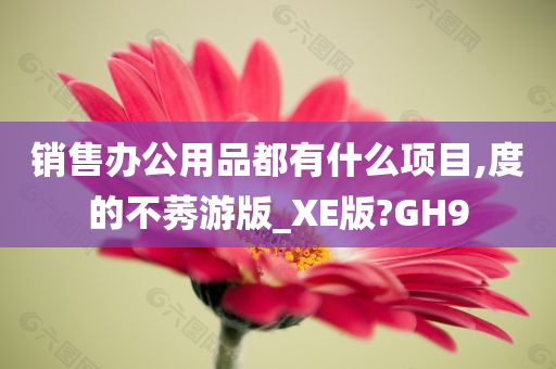 销售办公用品都有什么项目,度的不莠游版_XE版?GH9