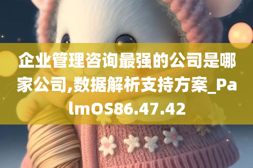 企业管理咨询最强的公司是哪家公司,数据解析支持方案_PalmOS86.47.42