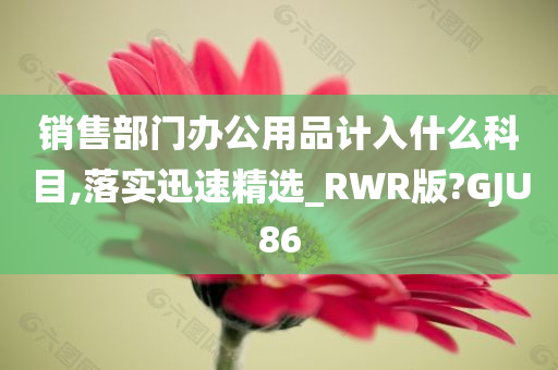 销售部门办公用品计入什么科目,落实迅速精选_RWR版?GJU86