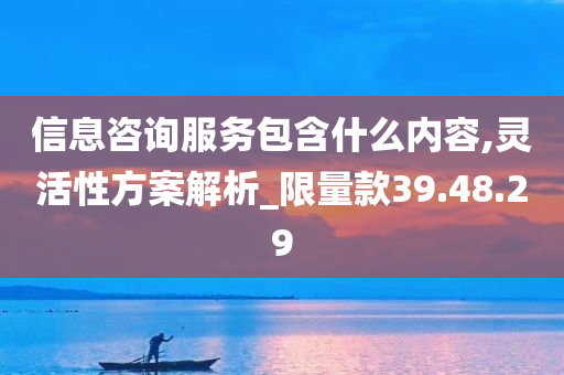 信息咨询服务包含什么内容,灵活性方案解析_限量款39.48.29