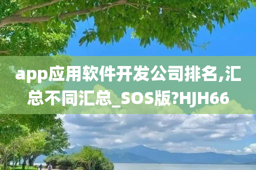 app应用软件开发公司排名,汇总不同汇总_SOS版?HJH66