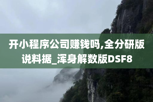 开小程序公司赚钱吗,全分研版说料据_浑身解数版DSF8