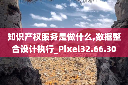 知识产权服务是做什么,数据整合设计执行_Pixel32.66.30