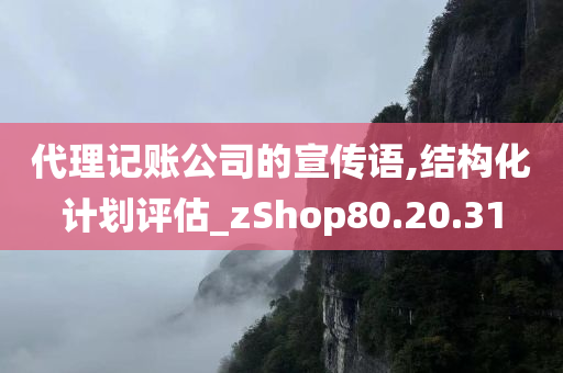 代理记账公司的宣传语,结构化计划评估_zShop80.20.31