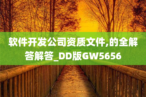 软件开发公司资质文件,的全解答解答_DD版GW5656