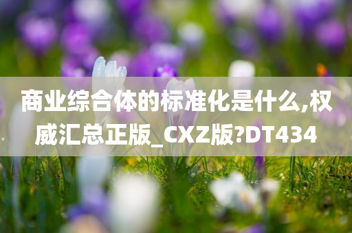 商业综合体的标准化是什么,权威汇总正版_CXZ版?DT434