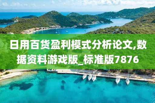 日用百货盈利模式分析论文,数据资料游戏版_标准版7876